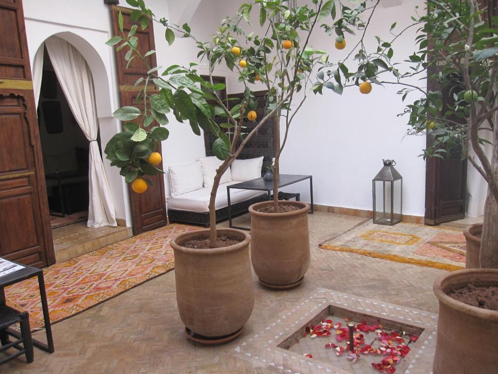 Riad Azza مراكش المظهر الخارجي الصورة